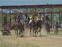 Diikuti 30 Ekor Kuda, Ini Daftar Juara Pacuan Kuda Danrem Cup