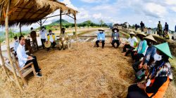 WhatsApp Image 2021 11 30 at 6.43.14 PM 768x538 1