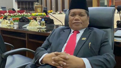 Wakil Ketua DPRD Sulteng Singgung Penertiban IUP di Morowali dan Morut