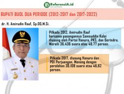 Profil Amirudin Rauf: Dari Direktur Rumah Sakit Hingga Kursi Bupati