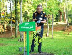 Nursery PT Vale Patut Jadi Contoh Perusahaan Tambang