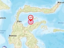 Tojo Unauna Sulteng Diguncang Gempa M5,2, Tidak Berpotensi Tsunami