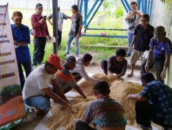 Peternak di 7 Kelurahan Lingkar Tambang PT CPM Diberi Pelatihan Pembuatan Pakan Ternak Tambahan