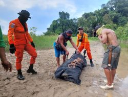 Tim SAR Temukan Jasad Warga Poso yang Hilang di Kebun