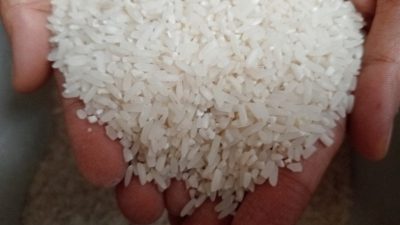 Sulteng surplus beras