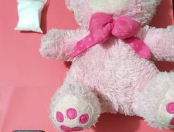 Polisi Tangkap 2 Pria Bawa Boneka Berisi Narkoba di Kota Palu