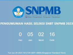 Cek Pengumuman SNBT 2023 Bisa Melalui Link Ini
