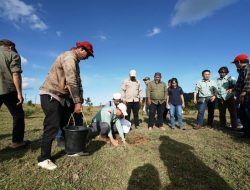 PT Vale Pastikan Rehabilitasi DAS seluas 10.000 Hektar di Sulsel Berjalan Sukses