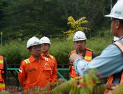 KAHMI Puji Bukti Nyata PT Vale Lakukan Pertambangan Berkelanjutan di Sorowako