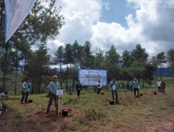 PT Vale Tanam 424 Ribu Bibit Pohon di DAS Tana Toraja