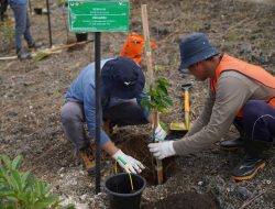 PT Vale Rehabilitasi 200 Hektare Lahan DAS Nusa Penida, Bukti Komitmen Terhadap Keberlanjutan