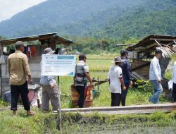 Begini Langkah Strategis PT Vale Indonesia Wujudkan Pertanian Berkelanjutan dan Berkualitas di Morowali