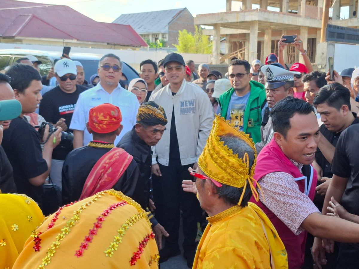 IMG 20241109 WA0018 1