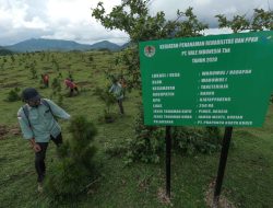 PT Vale Rehabilitasi 14.230 Hektare DAS di Sulsel Selama 2024