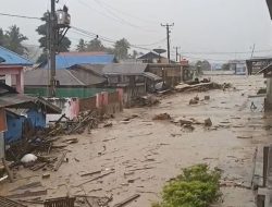 Banjir di Desa Wombo Donggala, Rumah Warga Diterjang Lumpur dan Material Kayu