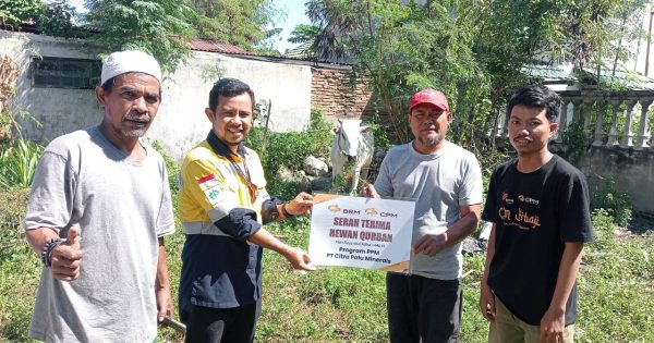 PT BRM-CPM Salurkan 34 Ekor Sapi Kurban Iduladha