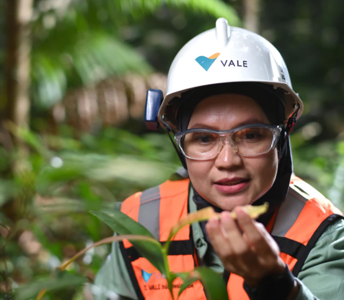 PT Vale