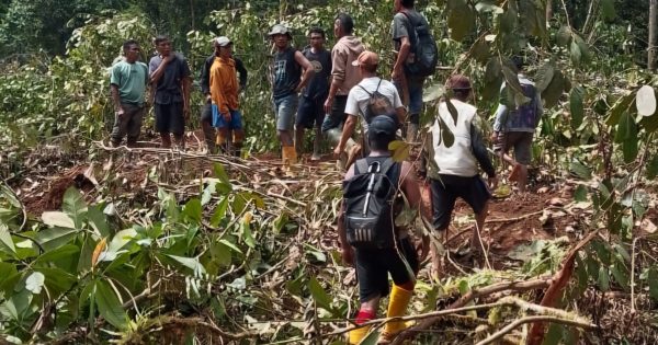 Dua Korban Longsor di Bolano Lambunu Ditemukan Meninggal, 5 Masih dalam Pencarian