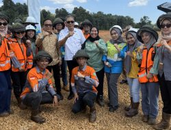 Wamenaker Apresiasi Praktik Ketenagakerjaan PT Vale