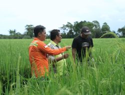 PT Vale Dorong Kemandirian Ekonomi Lokal untuk Masa Depan Berkelanjutan di Pomalaa