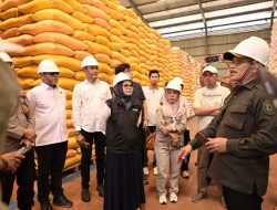 Harga Beras Naik di Parigi Moutong, Gubernur Sulteng Perintahkan TPID Ambil Langkah Strategis