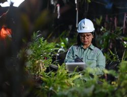 Produksi Nikel PT Vale Meningkat, Pendapatan Capai 220,2 Juta Dolar Selama TW II 2025