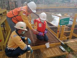 Menambang dengan Komitmen Keberlanjutan? Begini Cara yang Diterapkan PT Vale