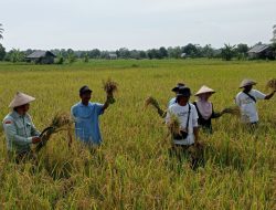 Tumbuh Bersama: Jejak Pemberdayaan PT Vale di Sekitar Tambang