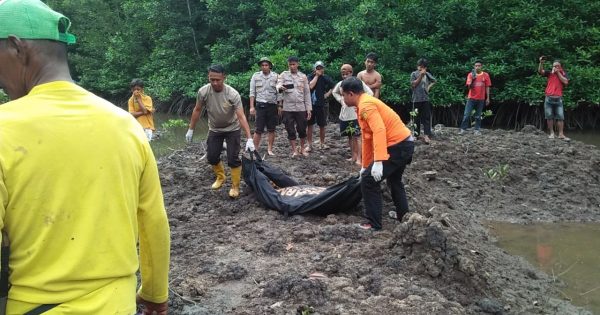 Pemanah Ikan di Tolitoli Dilaporkan Hilang, Ditemukan Meninggal Diduga Diterkam Buaya