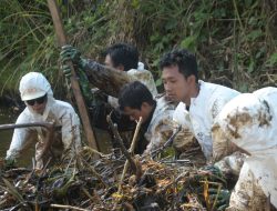 Langkah Nyata Wujudkan Towuti Pulih: PT Vale Fokus Bersihkan Sisa Tumpahan dan Tanggapi Aduan Warga