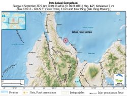 BMKG Catat Gempa Palu Pagi Ini Berkekuatan 4,7, Berpusat di Parigi Moutong