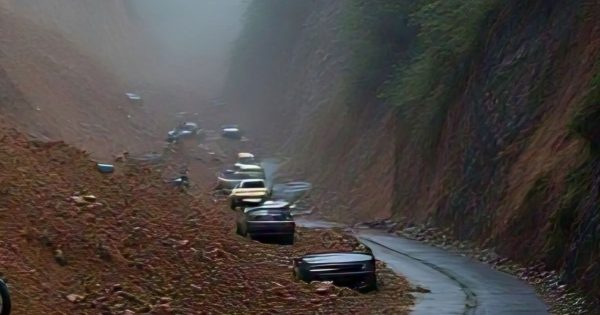 Breaking News: Longsor Jalur Kebun Kopi, 4 Mobil dan 5 Sepeda Motor Dilaporkan Tertimbun