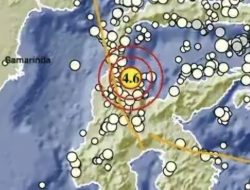 Pagi Ini Kota Palu Diguncang Gempa 4,6