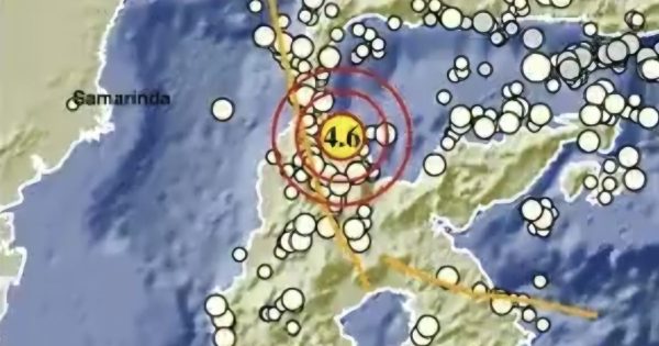 Pagi Ini Kota Palu Diguncang Gempa 4,6