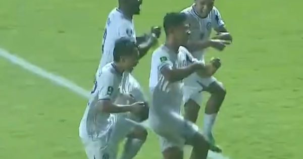 Persiba vs persipal