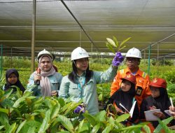 PT Vale Menambang dengan Nurani, Tumbuh Bersama Negeri