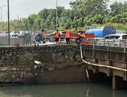 PT Vale dan KLH Angkat Lebih dari 56 Ton Sampah dari Sungai Cipinang