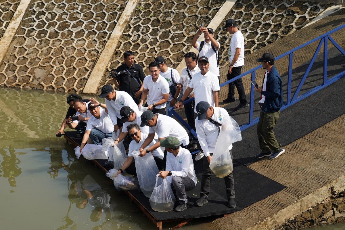 Festival Sungai Cipinang