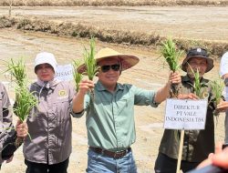 PT Vale dan Pemerintah Kolaborasi Hadirkan Transformasi Pertanian Berbasis Inovasi di Kolaka