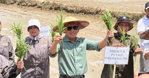 PT Vale dan Pemerintah Kolaborasi Hadirkan Transformasi Pertanian Berbasis Inovasi di Kolaka