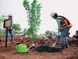 PT Vale dan Kepedulian Lingkungan lewat Praktik Pertambangan Berkelanjutan