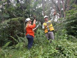 Peran PT Vale di Industri Nikel Nasional Semakin Luas