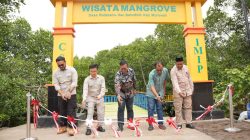 CSR PT IMIP Tuntaskan Pembangunan Desa Wisata Mangrove Padabaho