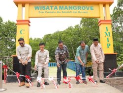CSR PT IMIP Tuntaskan Pembangunan Desa Wisata Mangrove Padabaho
