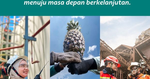 Luwu Timur