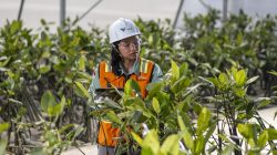 Perjalanan ESG PT Vale Indonesia Menguat pada 2025