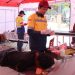 Bergabung dengan Posko ESDM Siaga Bencana, PT CPM Beri Layanan Kesehan Bagi Korban Gempa Sigi