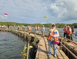 Peringati Hari Mangrove Sedunia, IMIP Dukung Penanaman 1 Juta Mangrove di 37 Provinsi