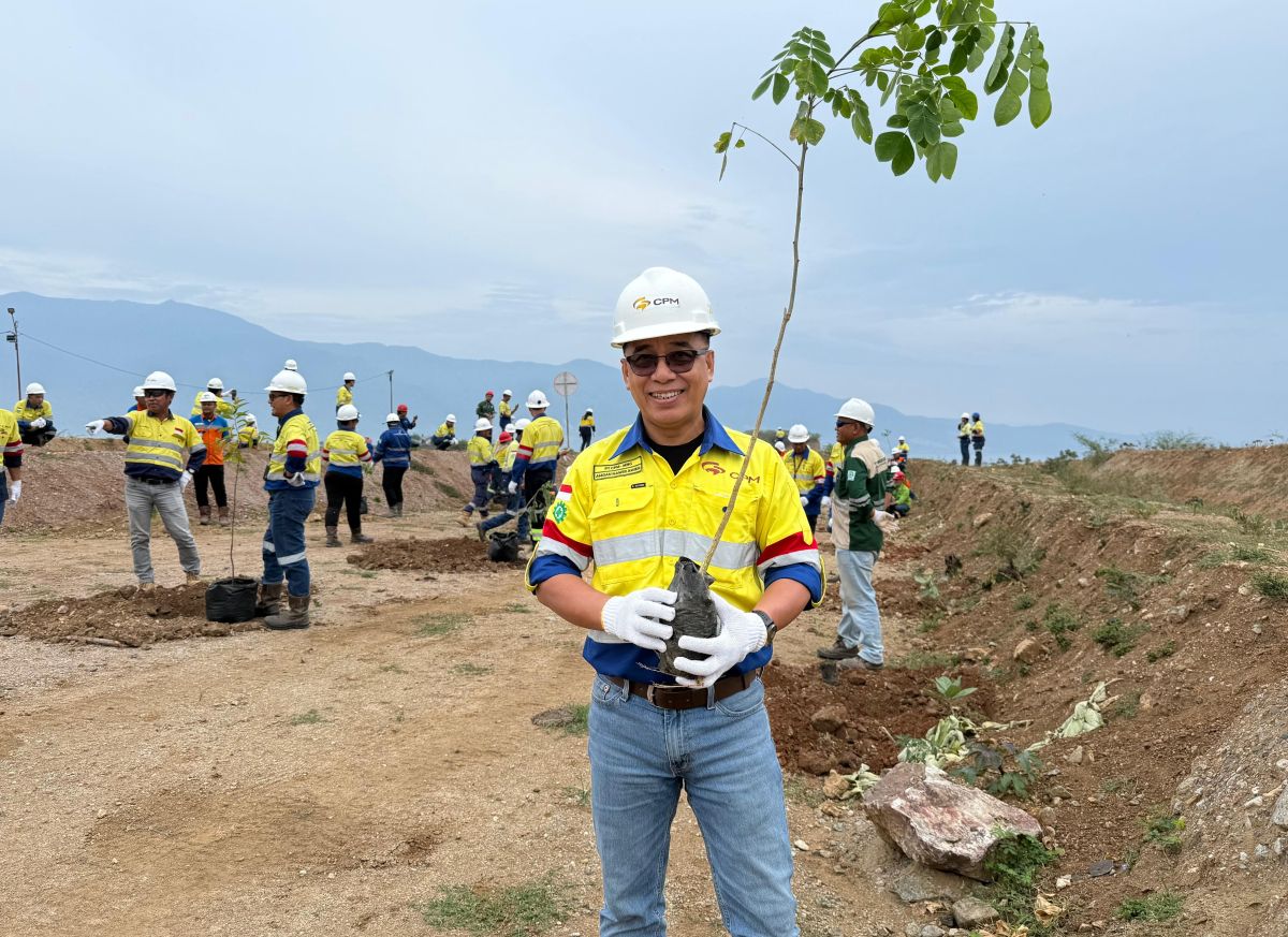 Manager external citra palu minerals amran amier