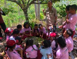 Menjaga Situs Budaya Lesung Batu di Tongoa Lewat Edukasi